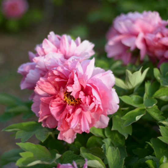 Navigate to this Product's page