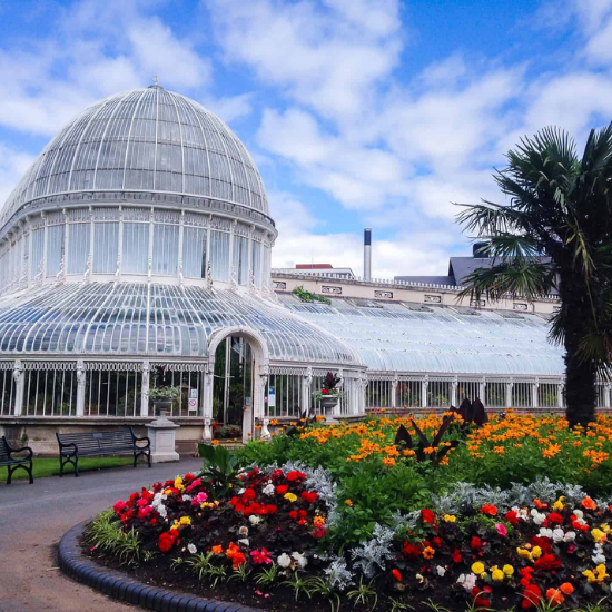 Late Night Art - Walking Trip April 2026