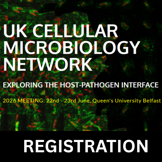 Navigate to the list of Products belonging to this Store