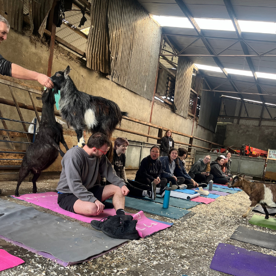 Goat Yoga - March 2026