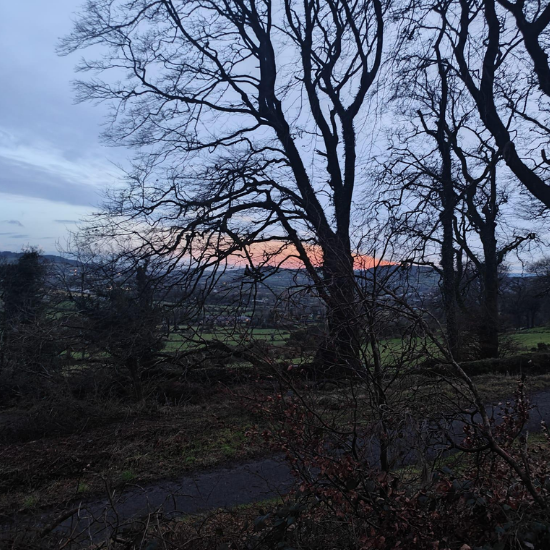 Slieve Gullion Forest Park - April 2026