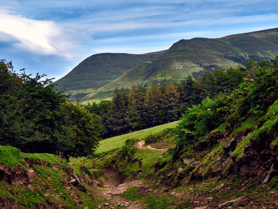 Black Mountain Walk